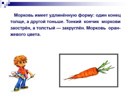 Учимся рисовать «Морковь», слайд 5