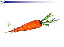 Учимся рисовать «Морковь», слайд 8