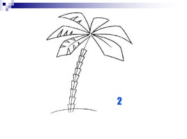 Учимся рисовать «Пальма», слайд 7