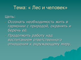 Реферат На Тему Лес И Человек