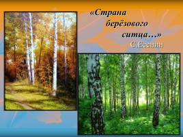 С.А. Есенин и его творчество, слайд 7