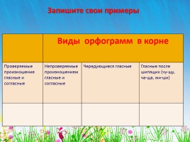 Русский язык 5 класс - Повторение и закрепление изученных орфограмм, слайд 12
