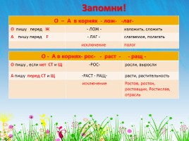 Русский язык 5 класс - Повторение и закрепление изученных орфограмм, слайд 7