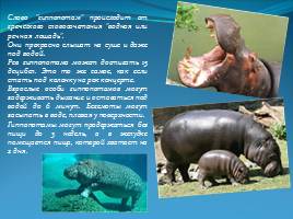 Удивительные факты из жизни животных, слайд 8