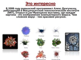 Компьютерные вирусы и антивирусные программы, слайд 24