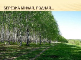 Русская пейзажная живопись, слайд 14