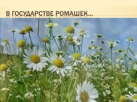 Русская пейзажная живопись, слайд 16