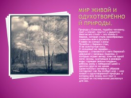 Природа родного края и образ Руси в лирике С.А. Есенина, слайд 9