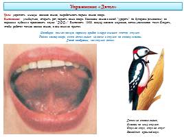Артикуляционная гимнастика, слайд 26