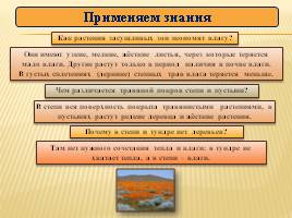 Окружающий мир 3 класс «Засушливые зоны умеренного пояса», слайд 14