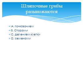 Тест «Бактерии и грибы», слайд 10