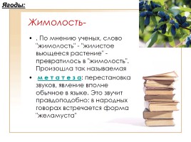 Этимология слов по теме «Фрукты, ягоды и овощи», слайд 5