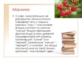 Этимология слов по теме «Фрукты, ягоды и овощи», слайд 7