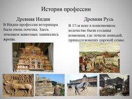 Внеклассное мероприятие по профориентации «Ветеринар», слайд 13