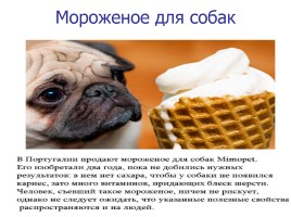 Мороженое в жизни человека: вред или польза?, слайд 27