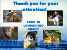 Лондонский зоопарк, слайд 10