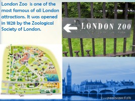 Лондонский зоопарк, слайд 2
