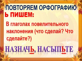 Текст - Темы широкие и узкие, слайд 3