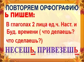 Текст - Темы широкие и узкие, слайд 5