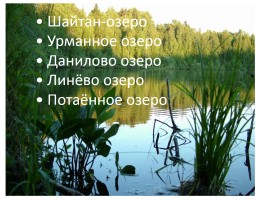 Визитная карточка Омской области, слайд 34
