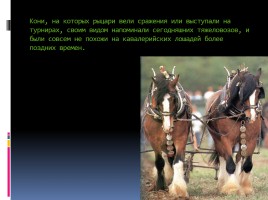 Рыцарские лошади, слайд 3