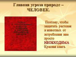 Некоторые растения и животные, включённые в Красную книгу Мурманской области, слайд 10