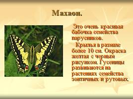 Некоторые растения и животные, включённые в Красную книгу Мурманской области, слайд 4