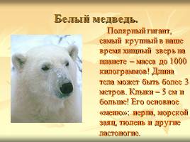 Некоторые растения и животные, включённые в Красную книгу Мурманской области, слайд 9