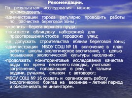 Проект на тему «Изучение экологического состояния водоема Верхний пруд», слайд 17