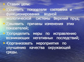 Проект на тему «Изучение экологического состояния водоема Верхний пруд», слайд 7