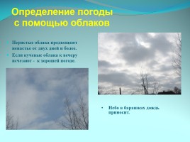 Народные приметы как средство определения погоды, слайд 12