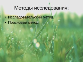 Молодёжный сленг, слайд 8