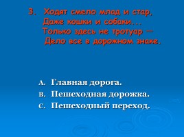 Викторина «Что ты знаешь о правилах дорожного движения?», слайд 28