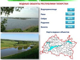 Разнообразие природы Республики Татарстан, слайд 10