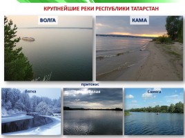 Разнообразие природы Республики Татарстан, слайд 12