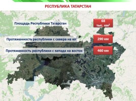 Разнообразие природы Республики Татарстан, слайд 5