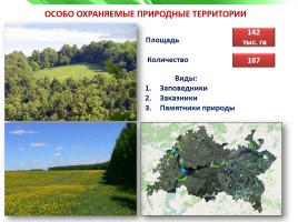 Разнообразие природы Республики Татарстан, слайд 8