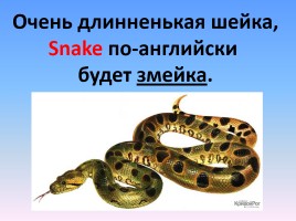 Как будет по английски змей