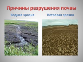 Типы почв Краснодарского края - Охрана почв, слайд 10