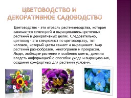 Цветоводство и декоративное садоводство, слайд 2