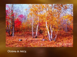 Г. Снегирёв «Как звери и птицы к зиме готовятся», слайд 2