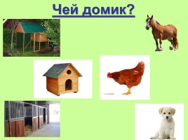 Домашние животные, слайд 8