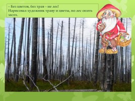 Юрий Дмитриев «Рассказы старичка-лесовичка - Что такое лес», слайд 6