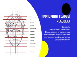 Пропорции и построение головы человека 6 класс, слайд 3