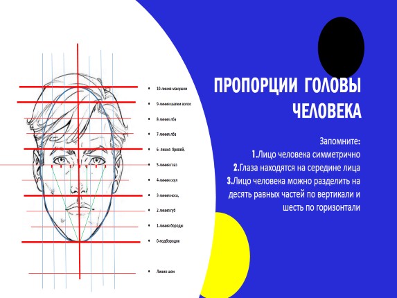 Презентация лицо человека 1 класс