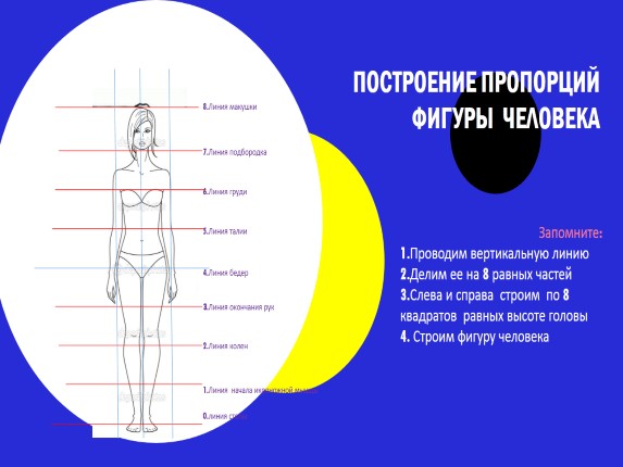 Презентация 7 класс пропорции и строение фигуры человека изо 7 класс