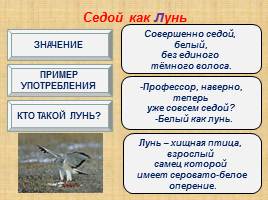 Богатство русского языка - Словарь устойчивых сравнений, слайд 11