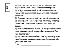 Содержание экзаменационной работы по русскому языку, слайд 17