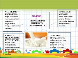 Исследовательский проект «Молоко и молочные продукты», слайд 21