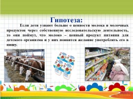 Исследовательский проект «Молоко и молочные продукты», слайд 6